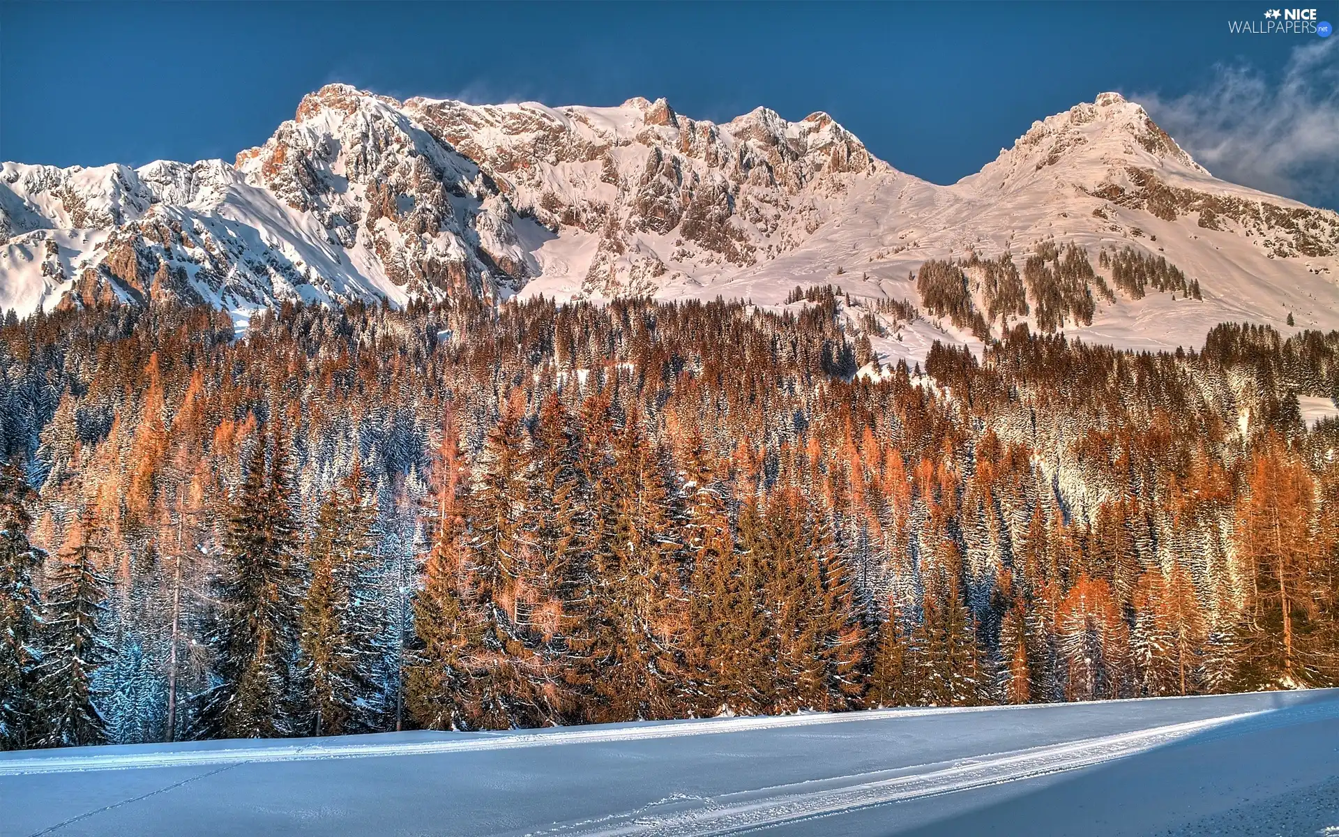 winter, Mountains, woods