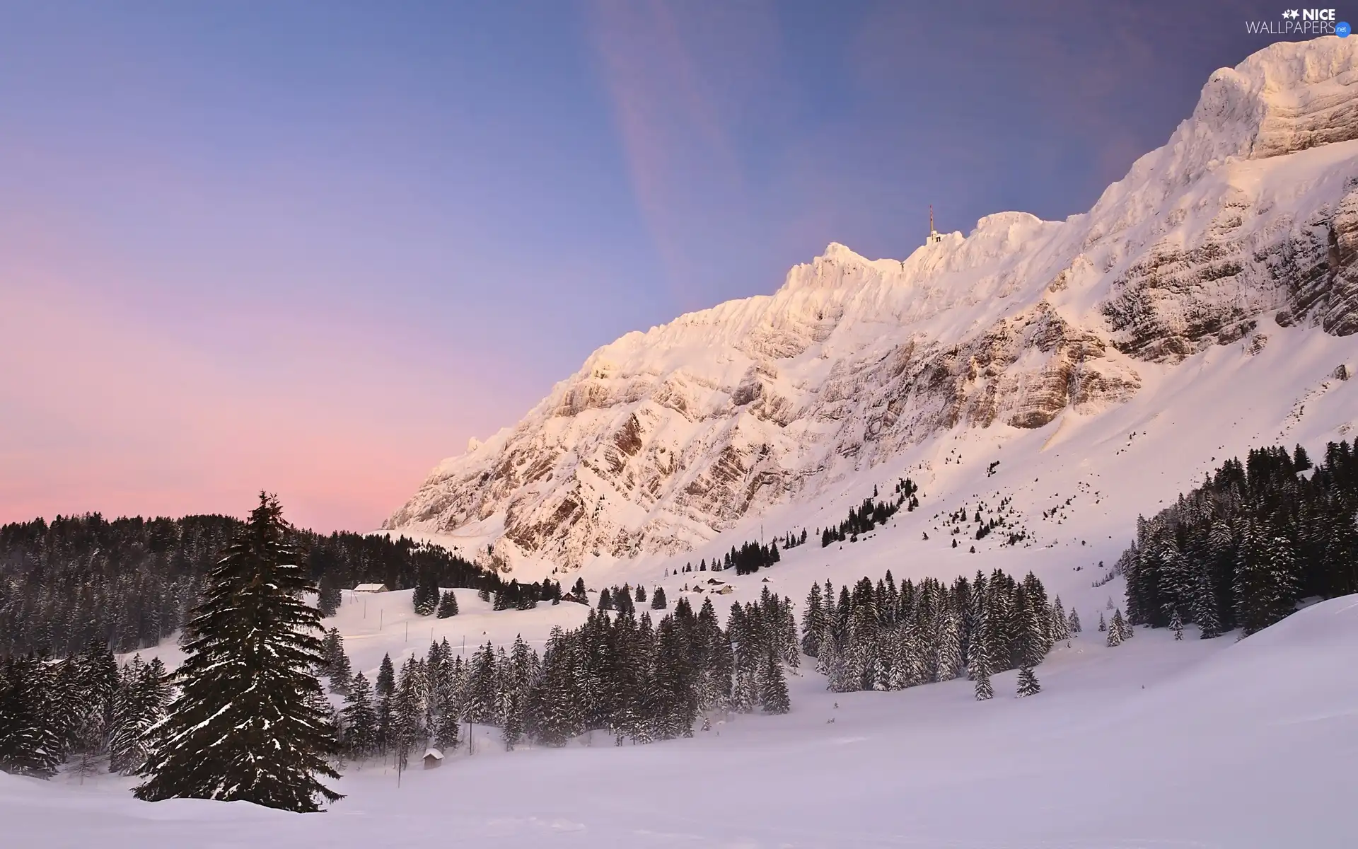 winter, Mountains, woods