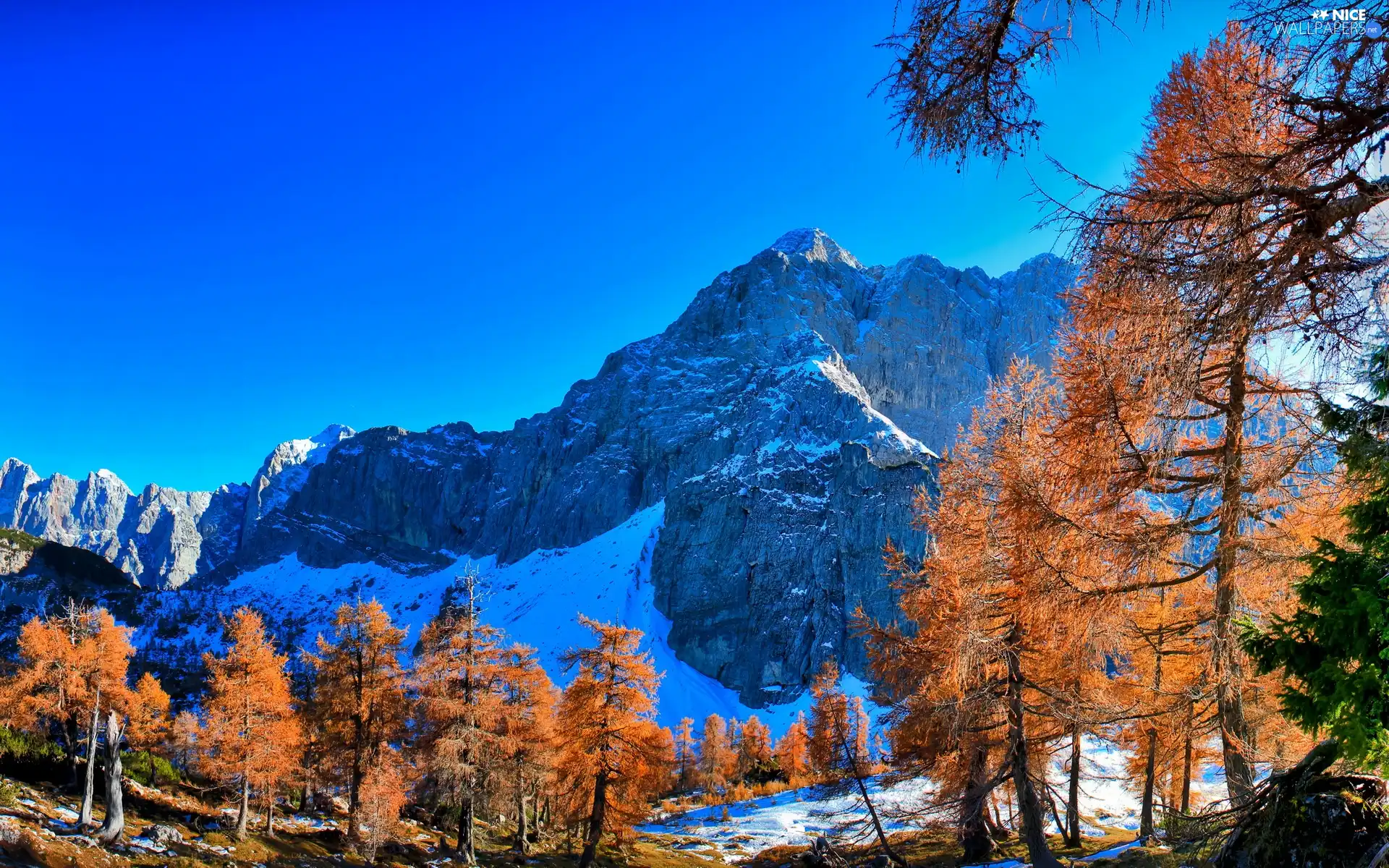 winter, Mountains, woods