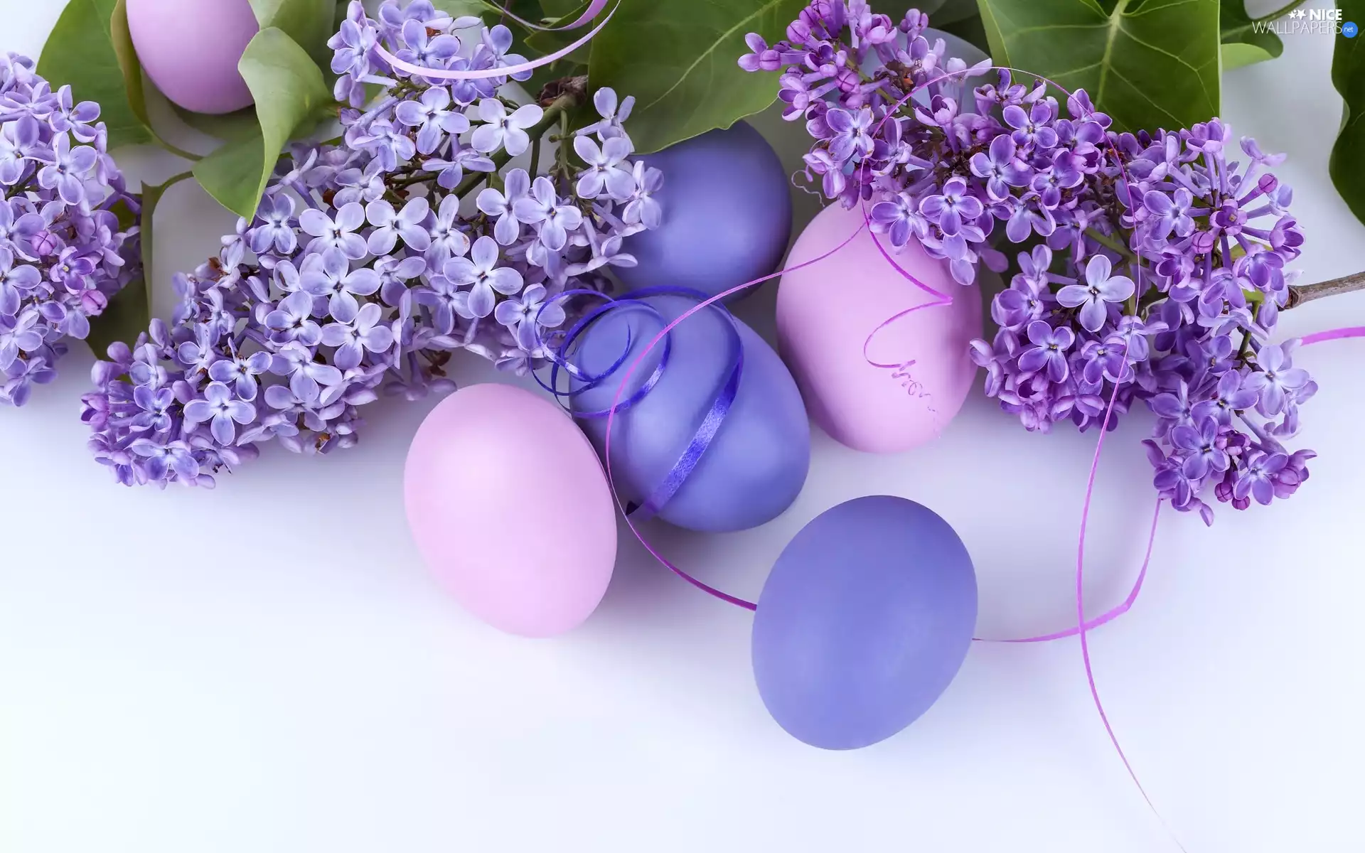 without, Easter, eggs