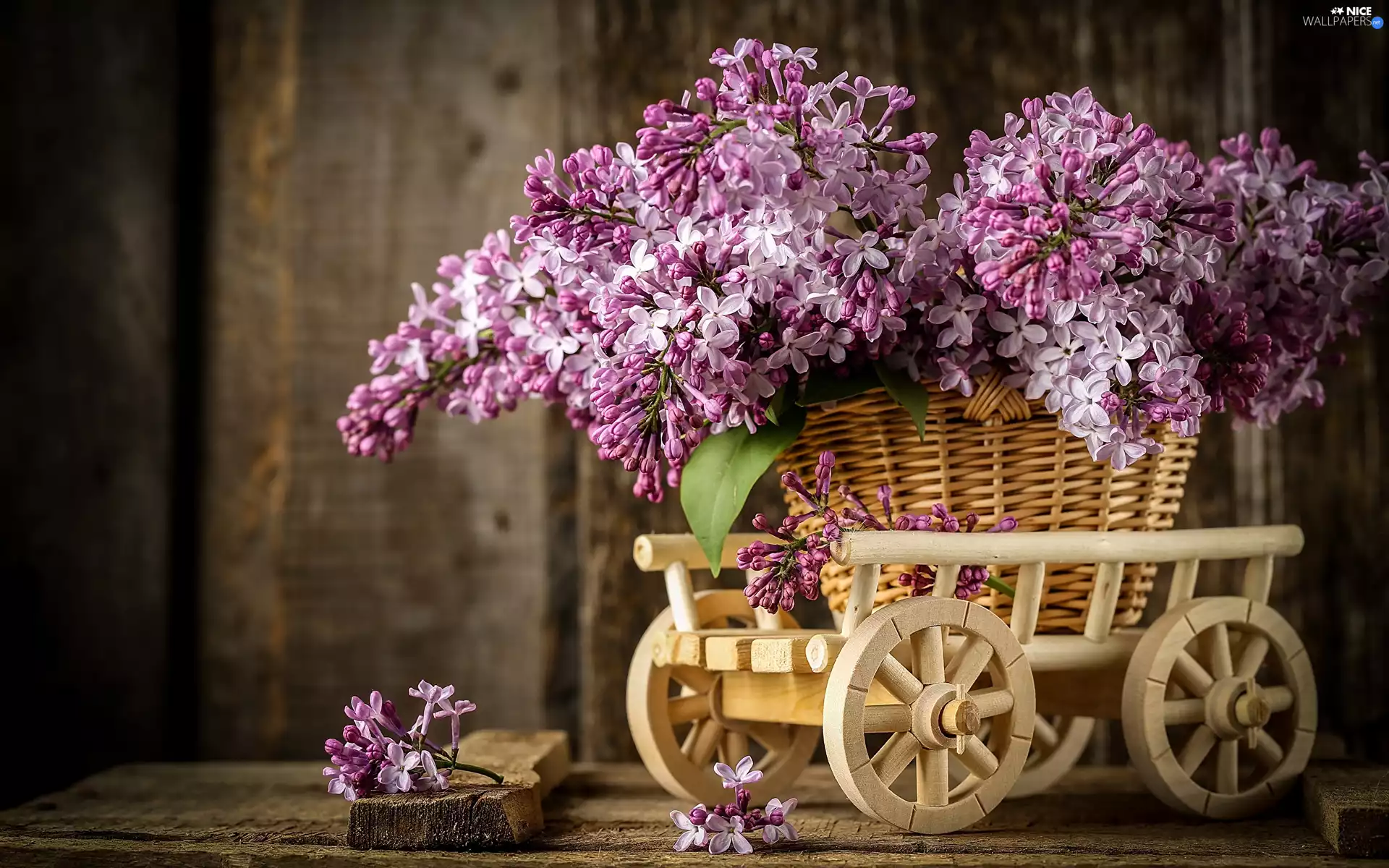 Violet, basket, trolley, without