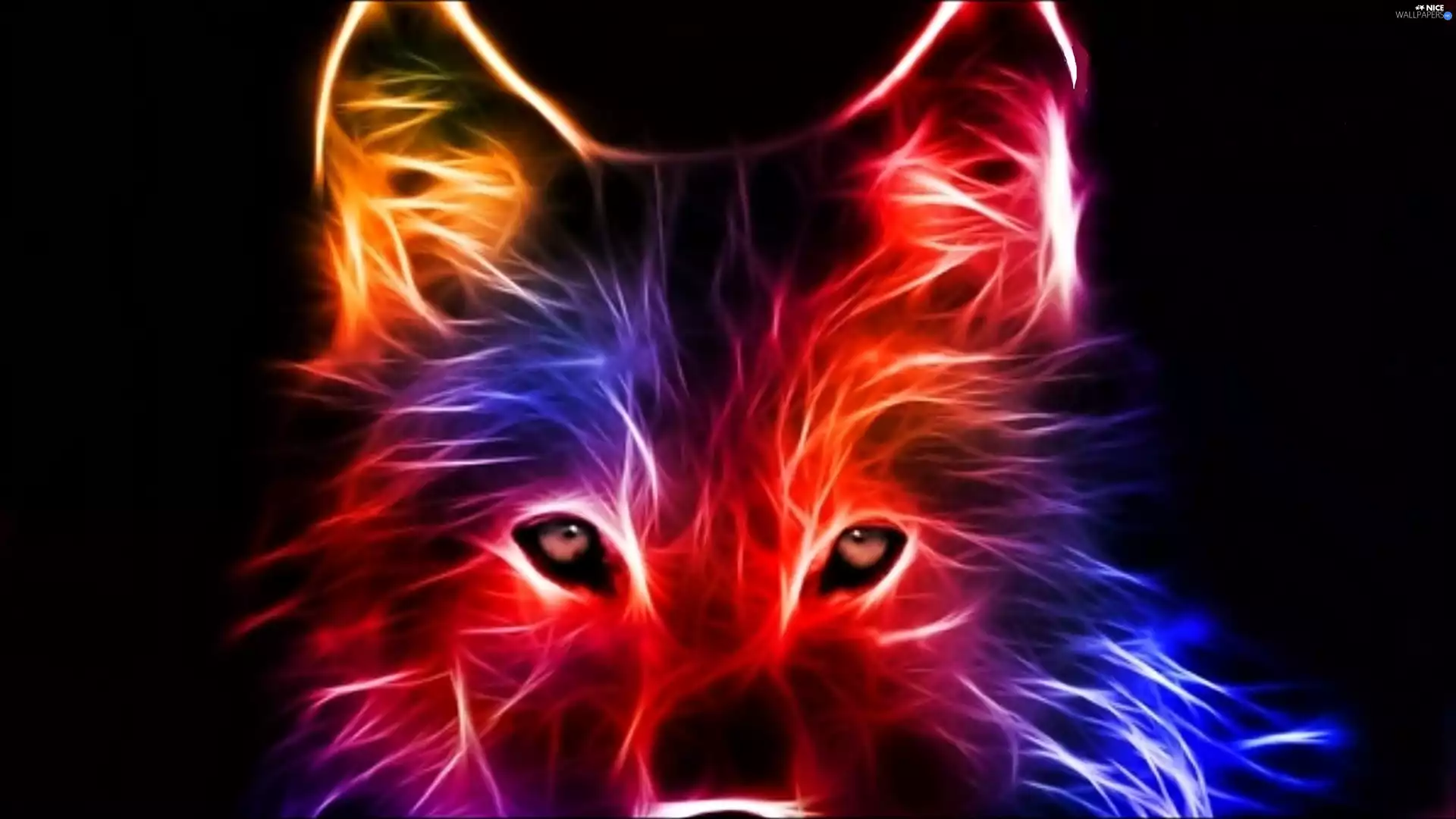 Wolf, Fractalius