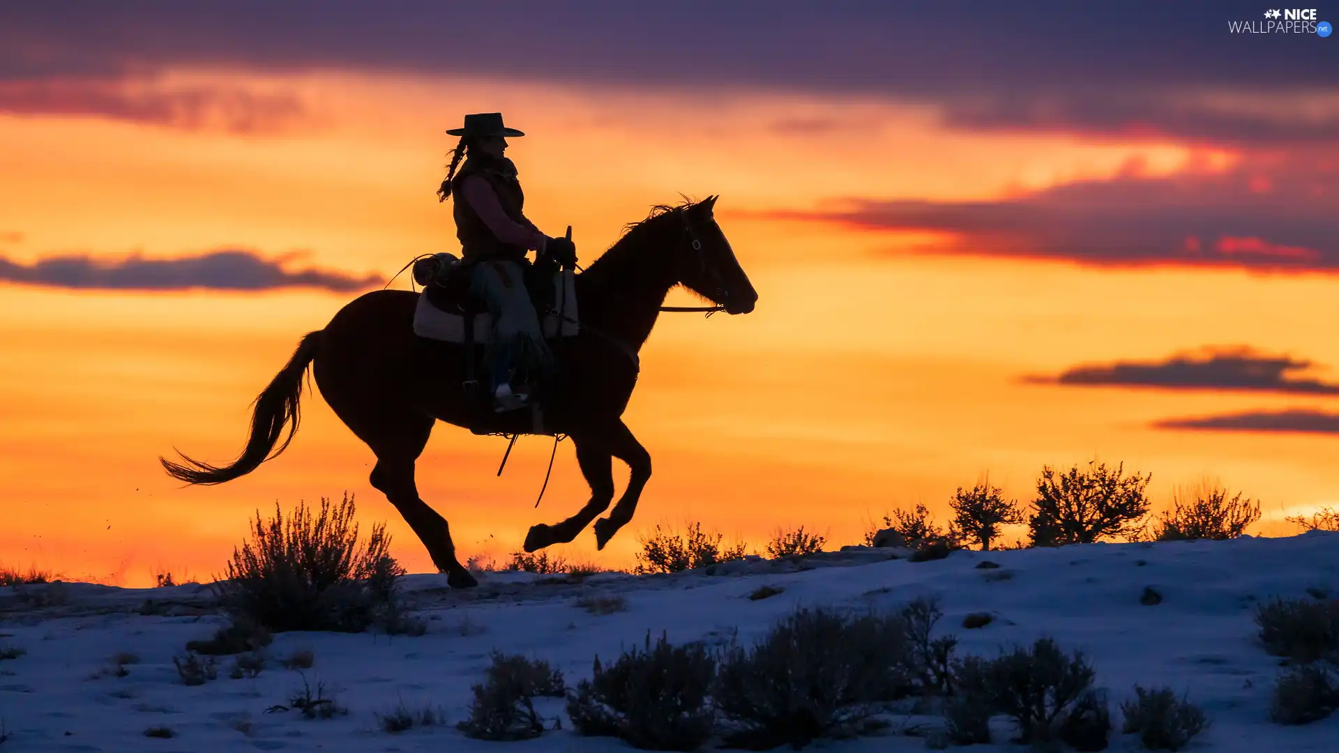 Great Sunsets, Horse, Women