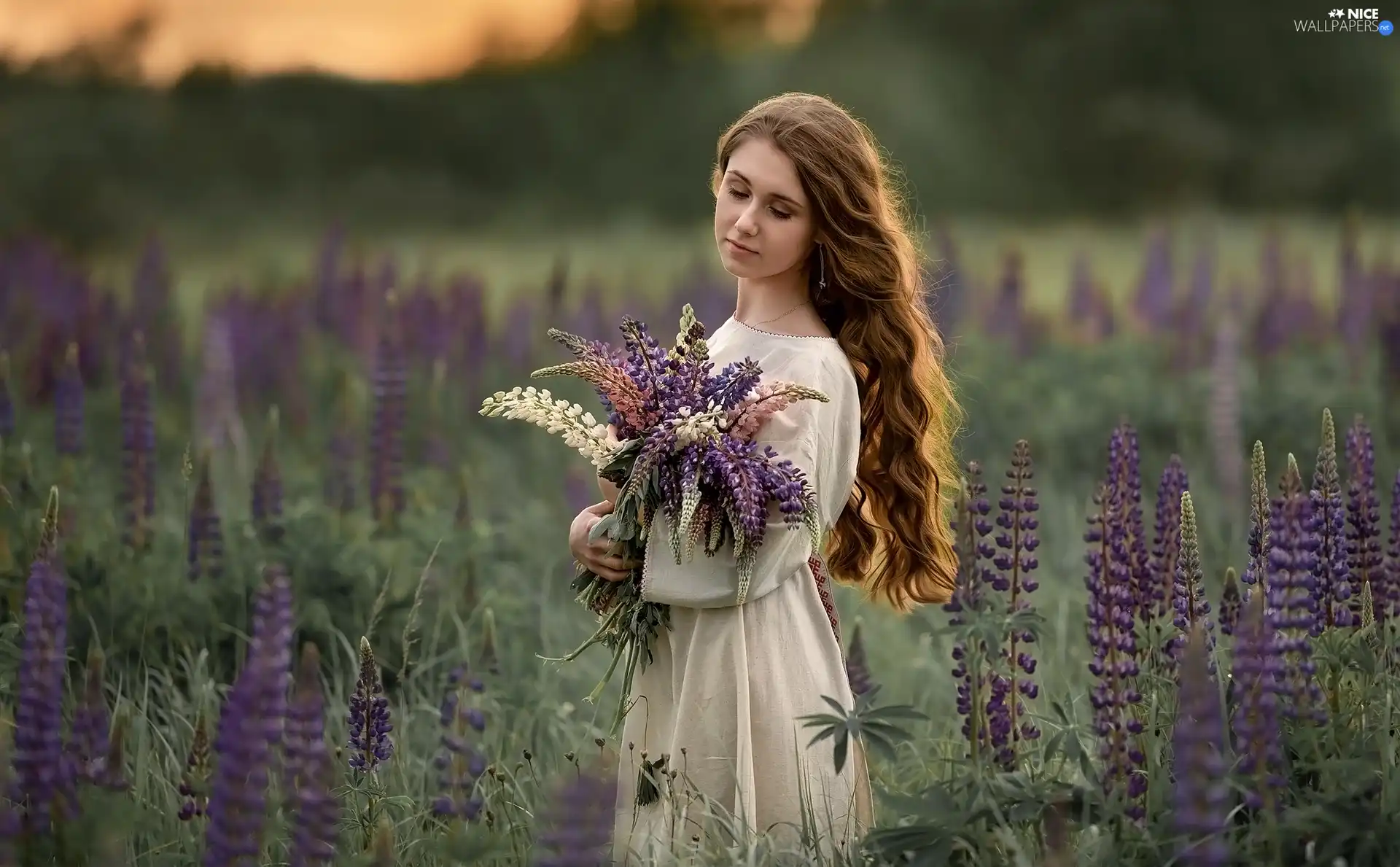 longhaired, Flowers, lupine, Women