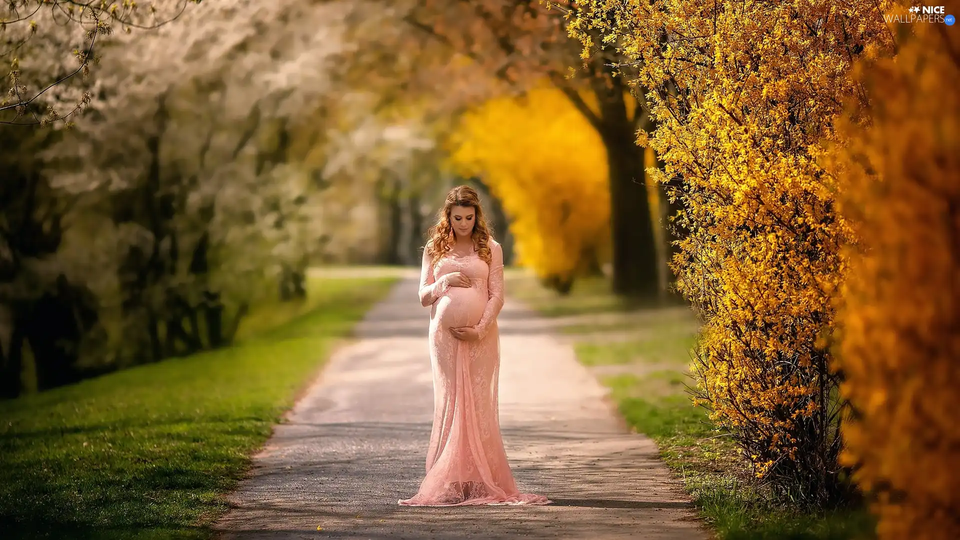 Women, maternity, Spring, lane, Park