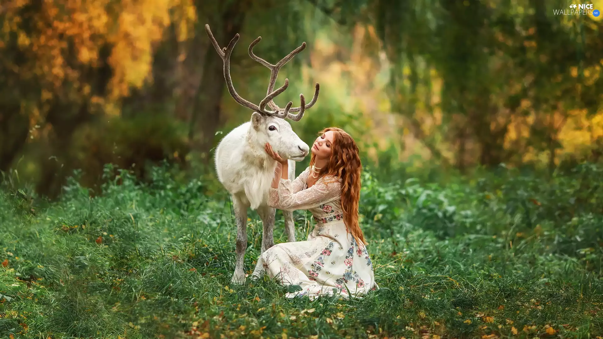 redhead, White, deer, Women