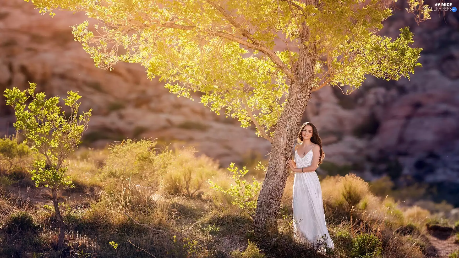 trees, White, dress, Women