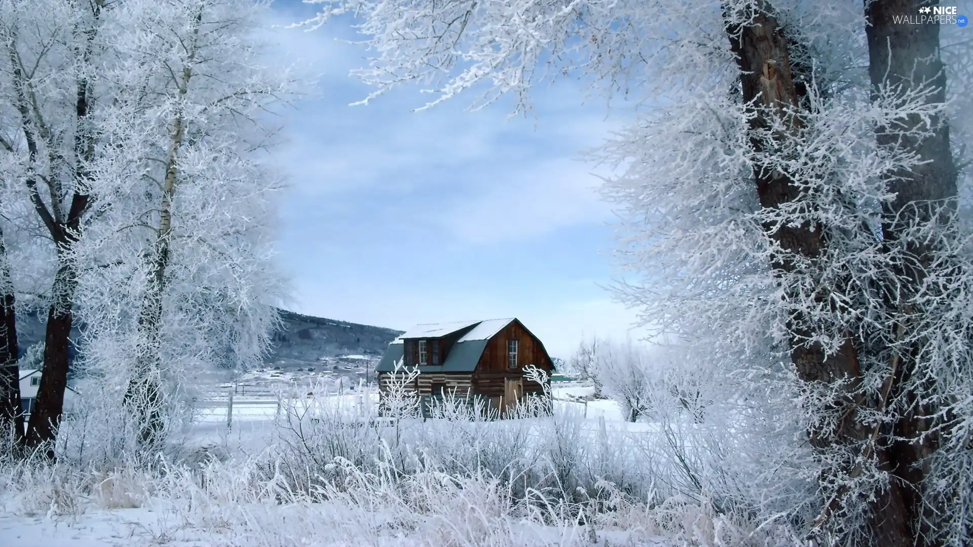 viewes, winter, wooden, house, snow, trees