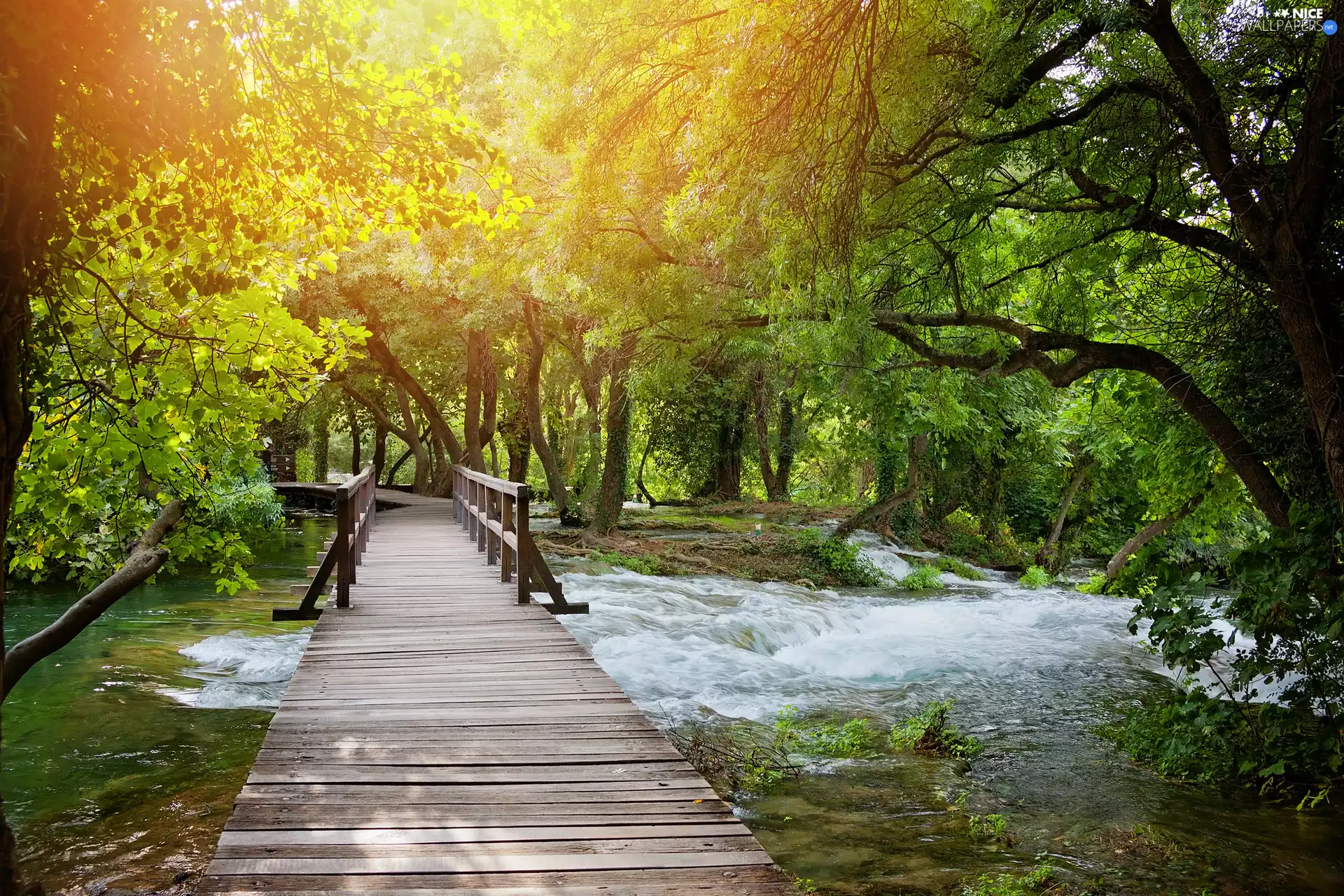 bridge, River, viewes, wooden, Park, trees, green