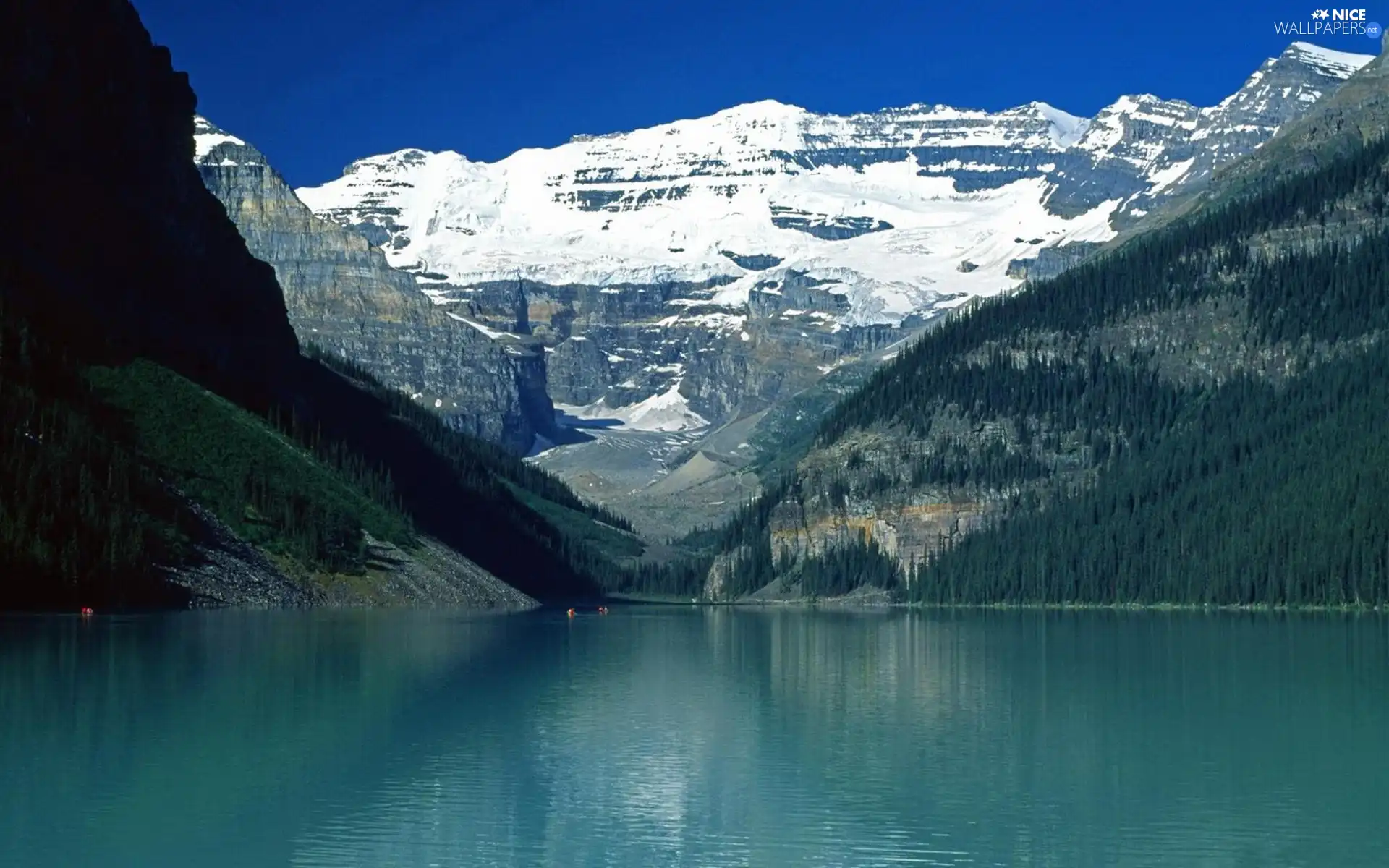 woods, Mountains, lake