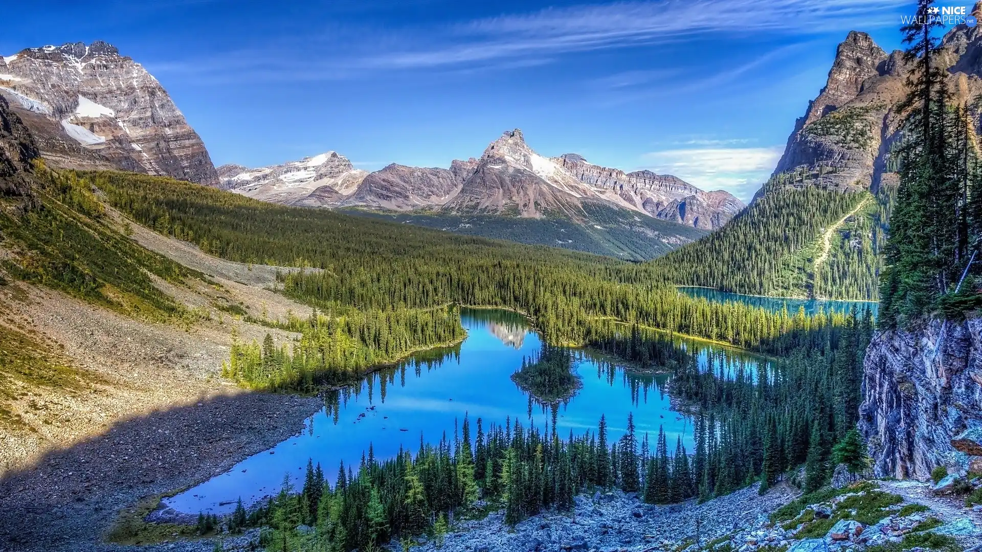 woods, Mountains, lakes