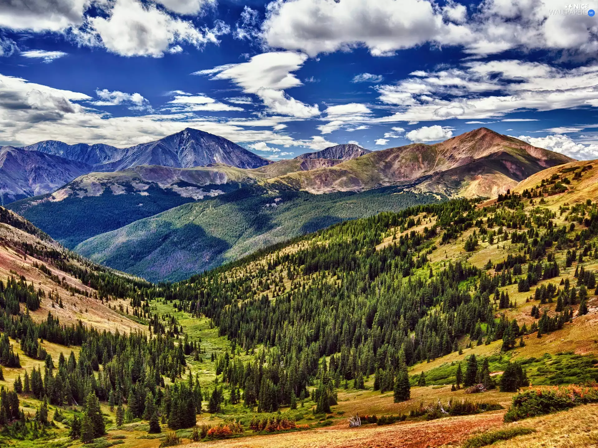 woods, clouds, Mountains