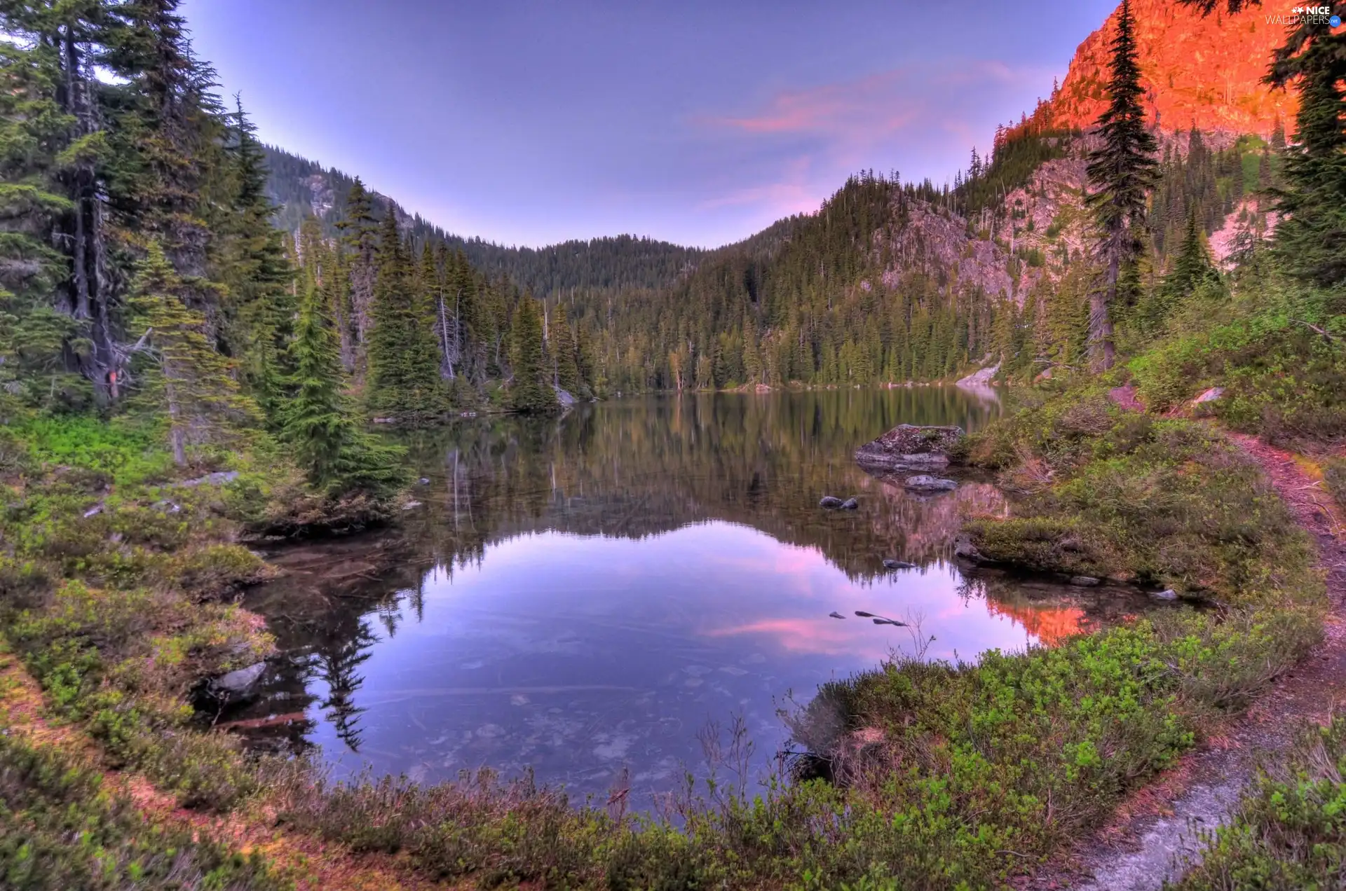 woods, lake, Mountains