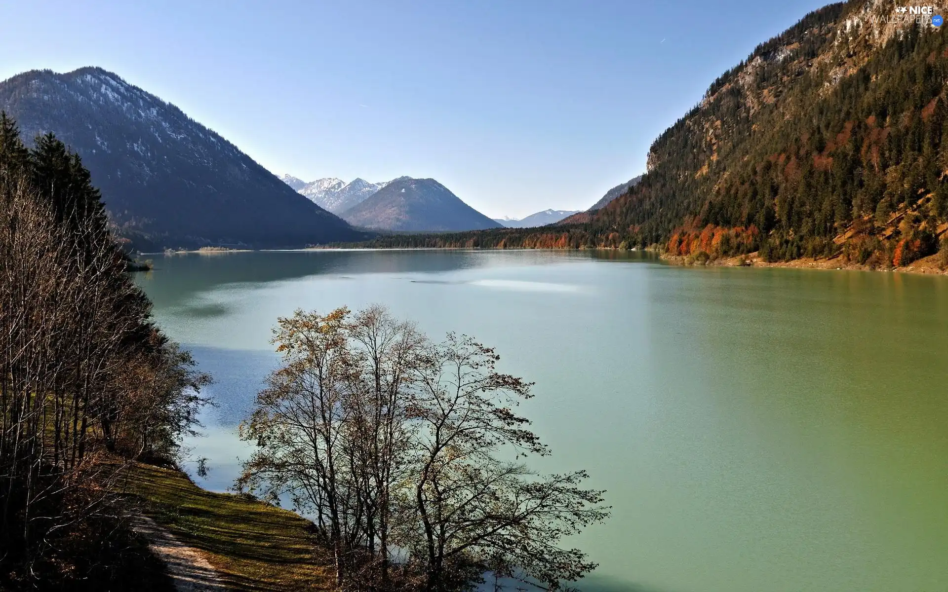 woods, River, Mountains