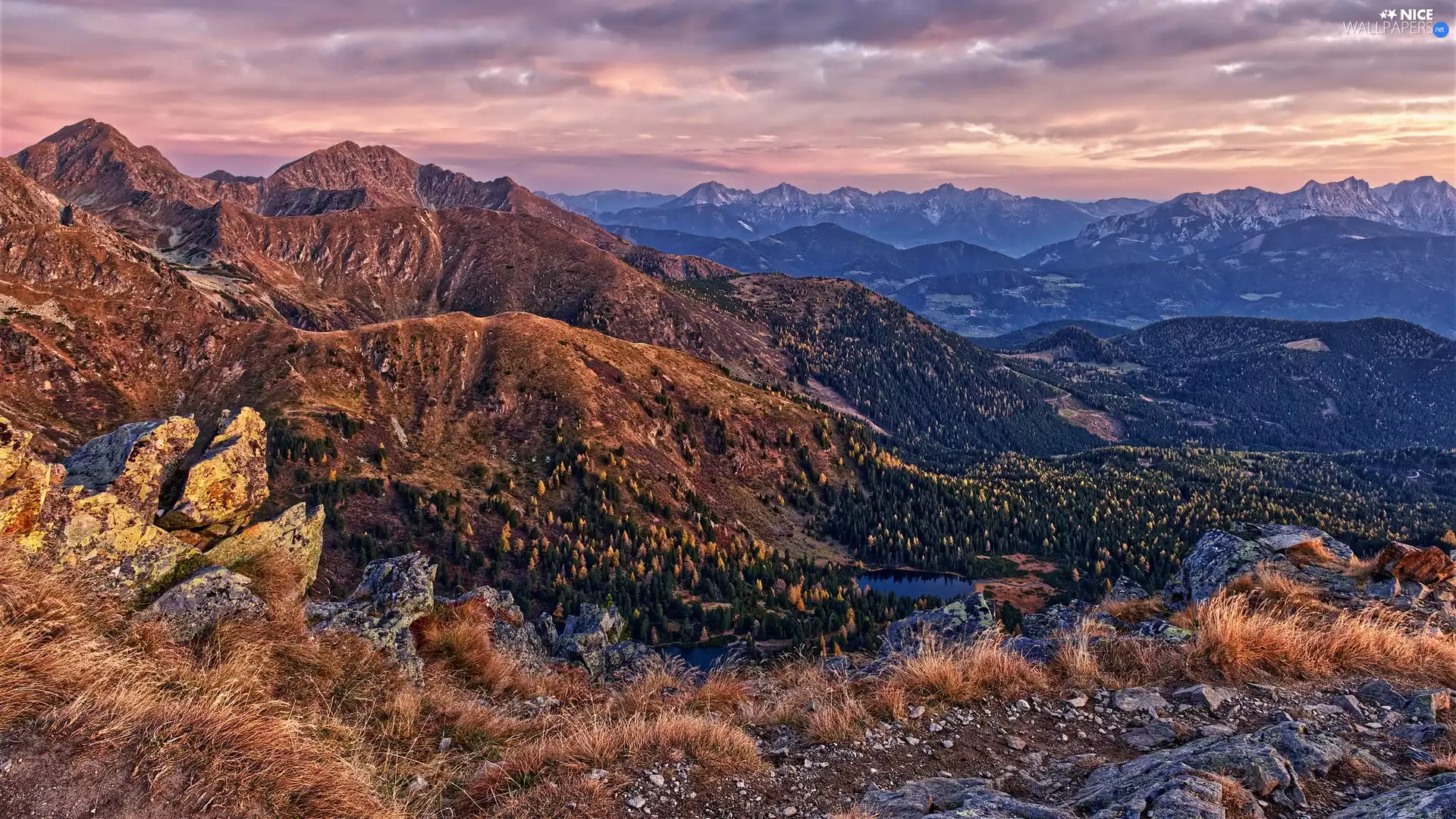 Mountains, grass, rocks, woods