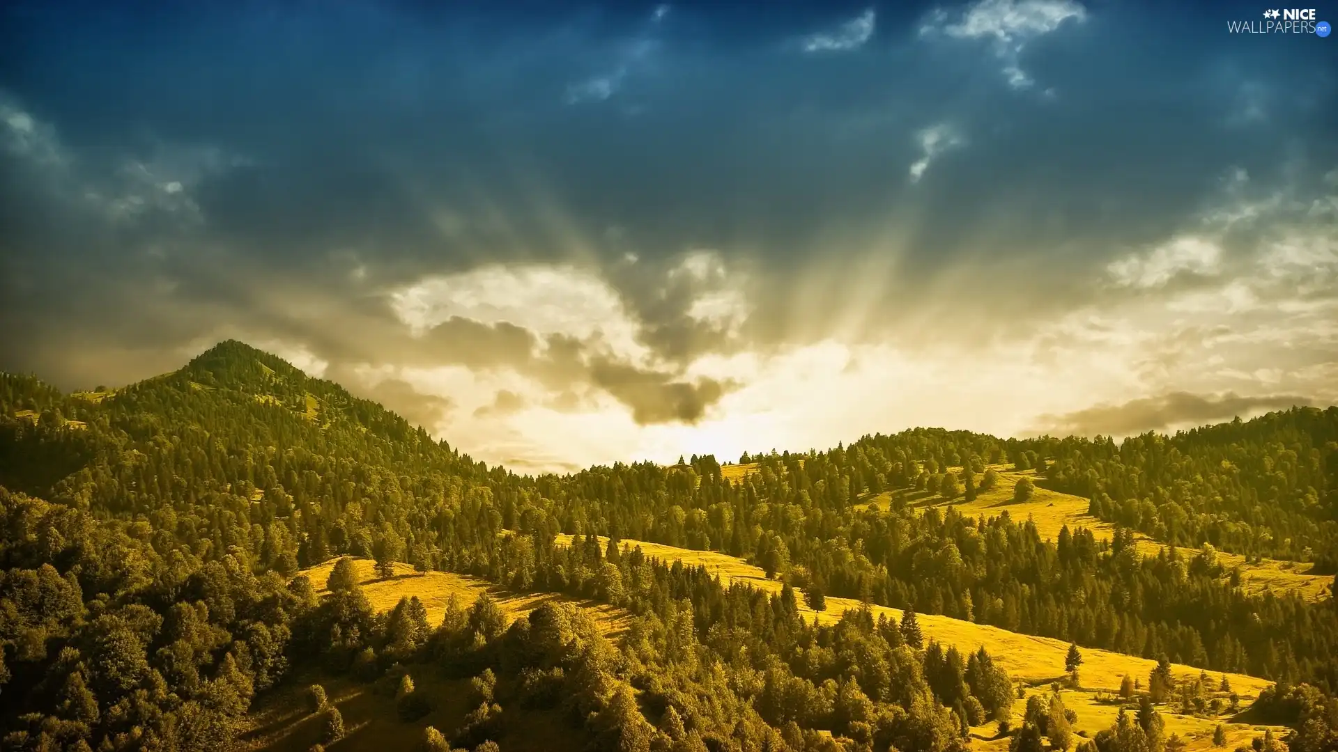 rays, Mountains, woods, sun