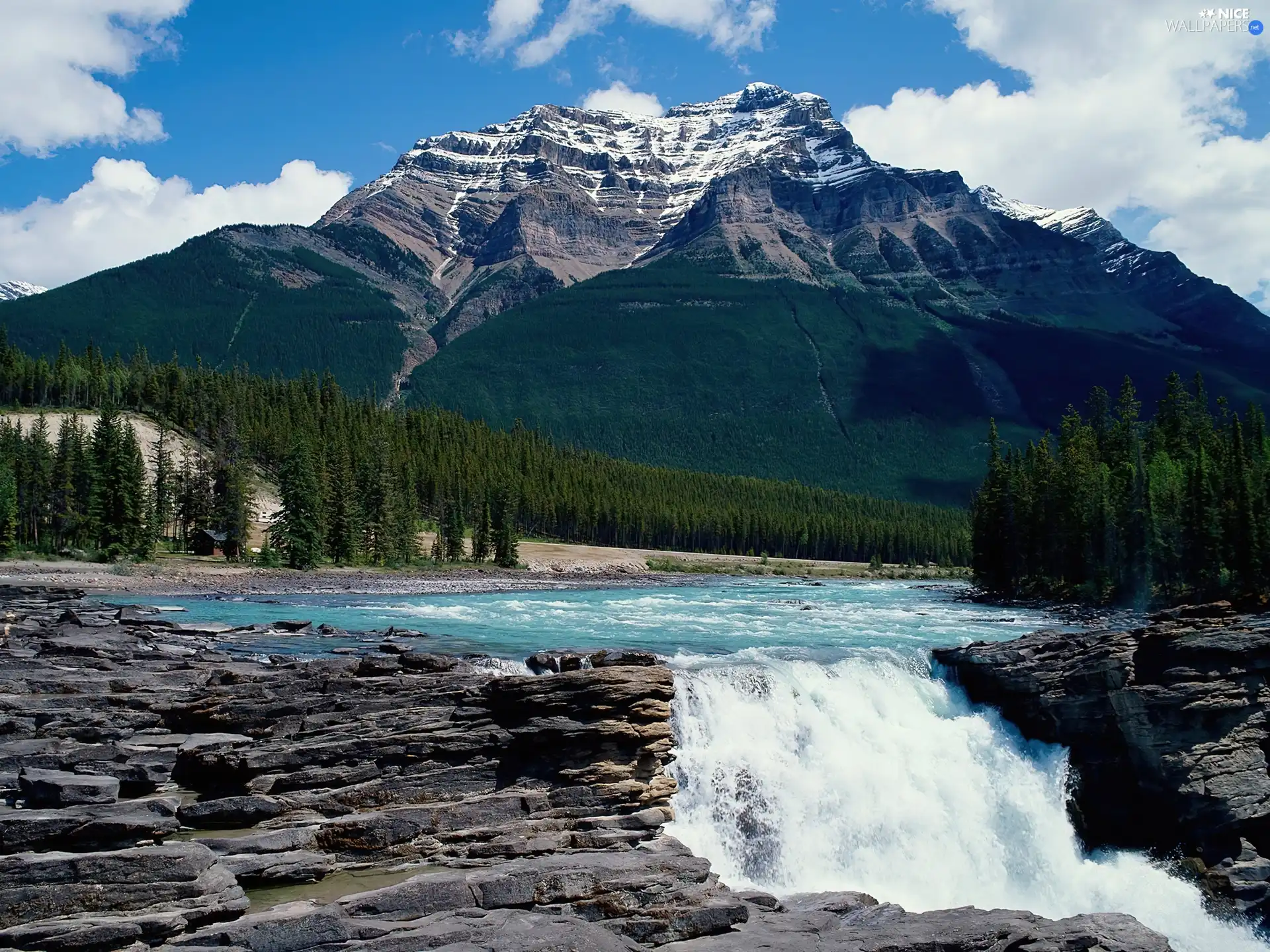 woods, Mountains, River