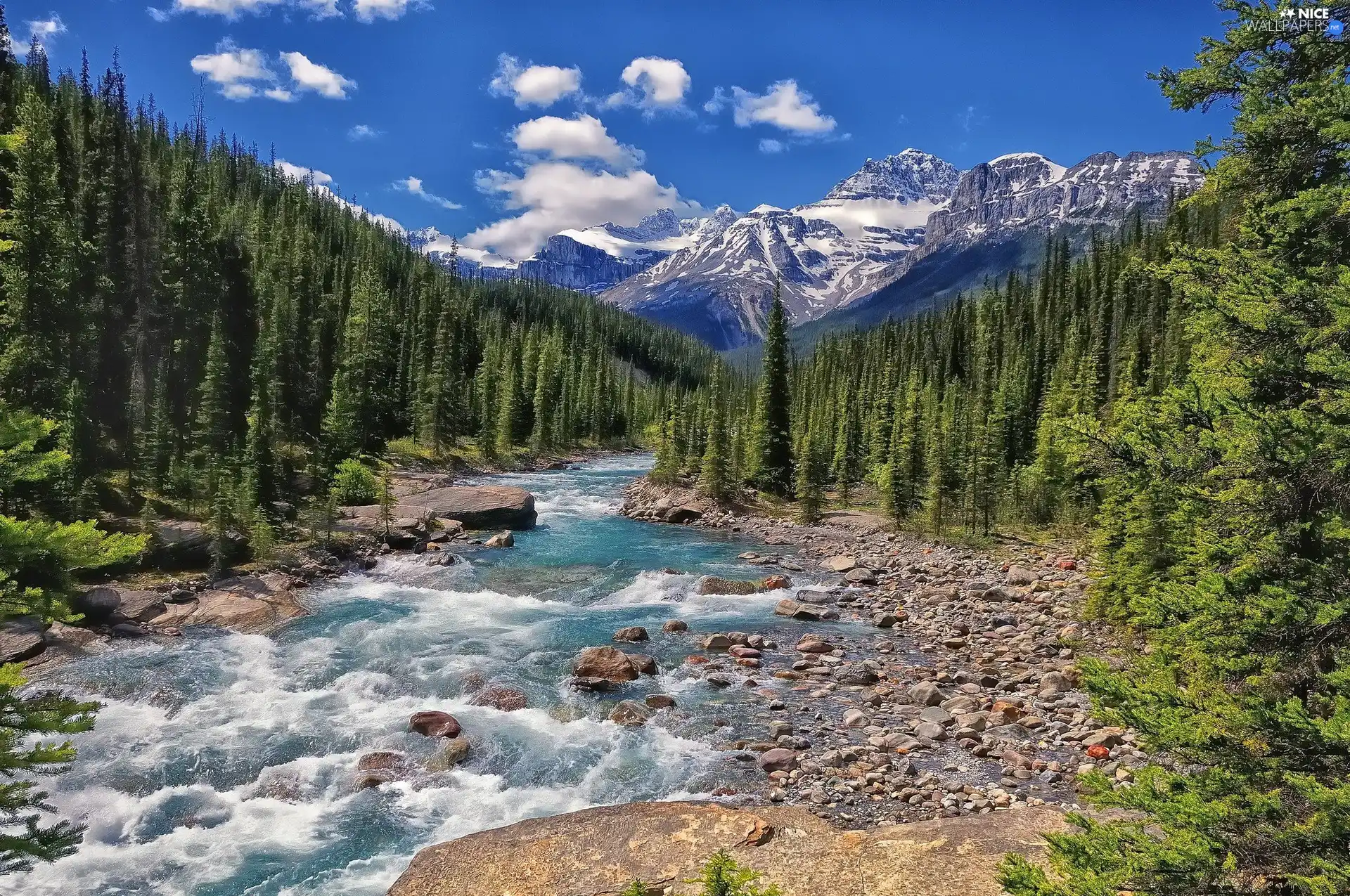 River, Stones, woods, Mountains