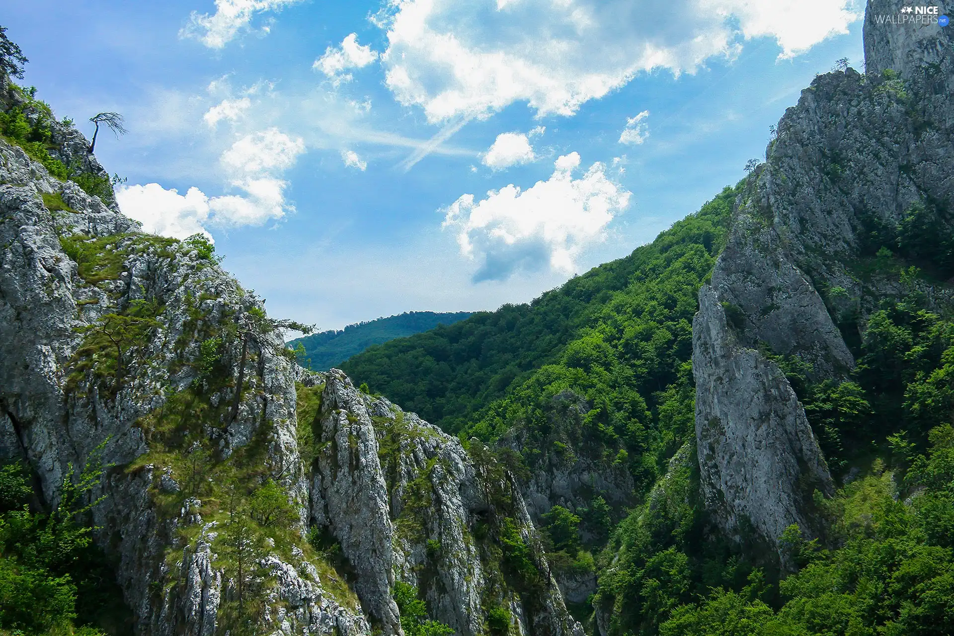 woods, Mountains, rocks