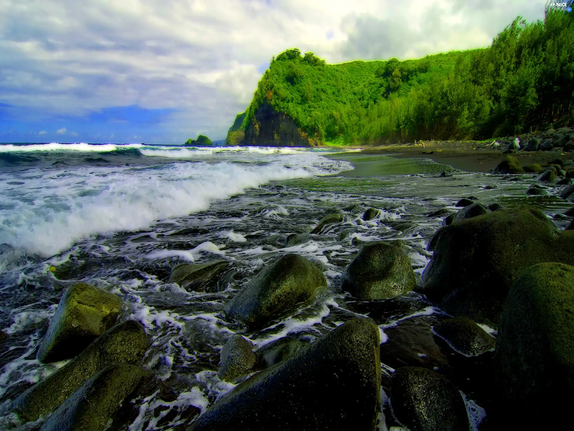 woods, sea, Stones