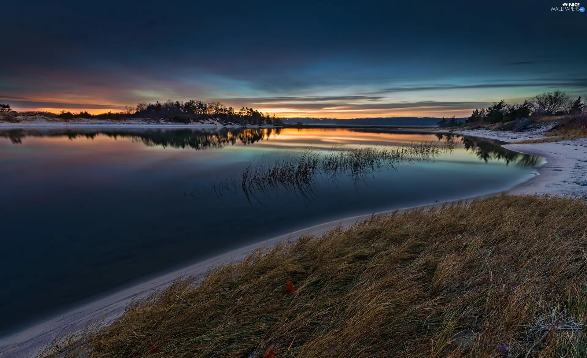 viewes, grass, Great Sunsets, trees, lake, woods, winter