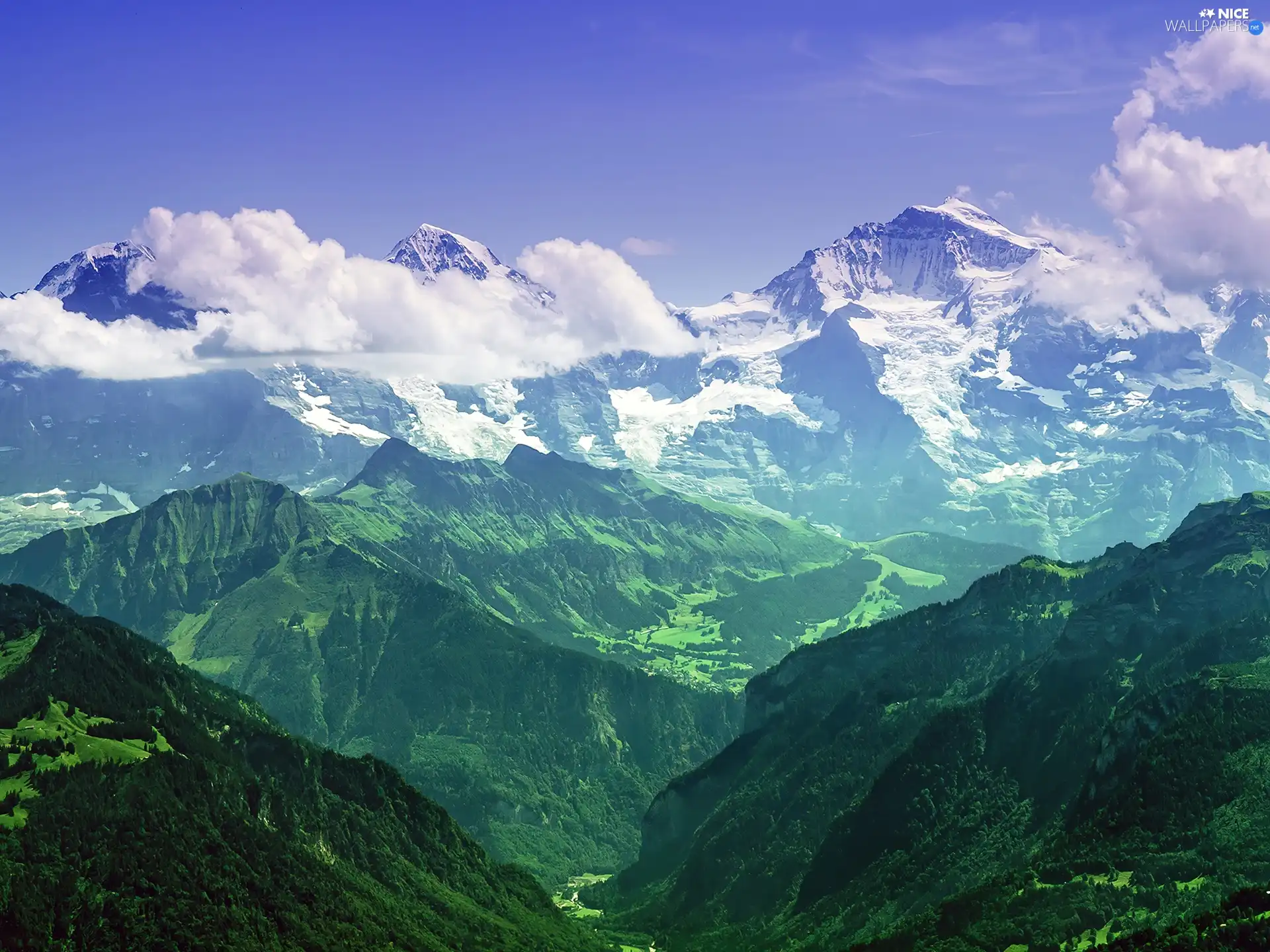 woods, Valley, peaks, clouds, Mountains