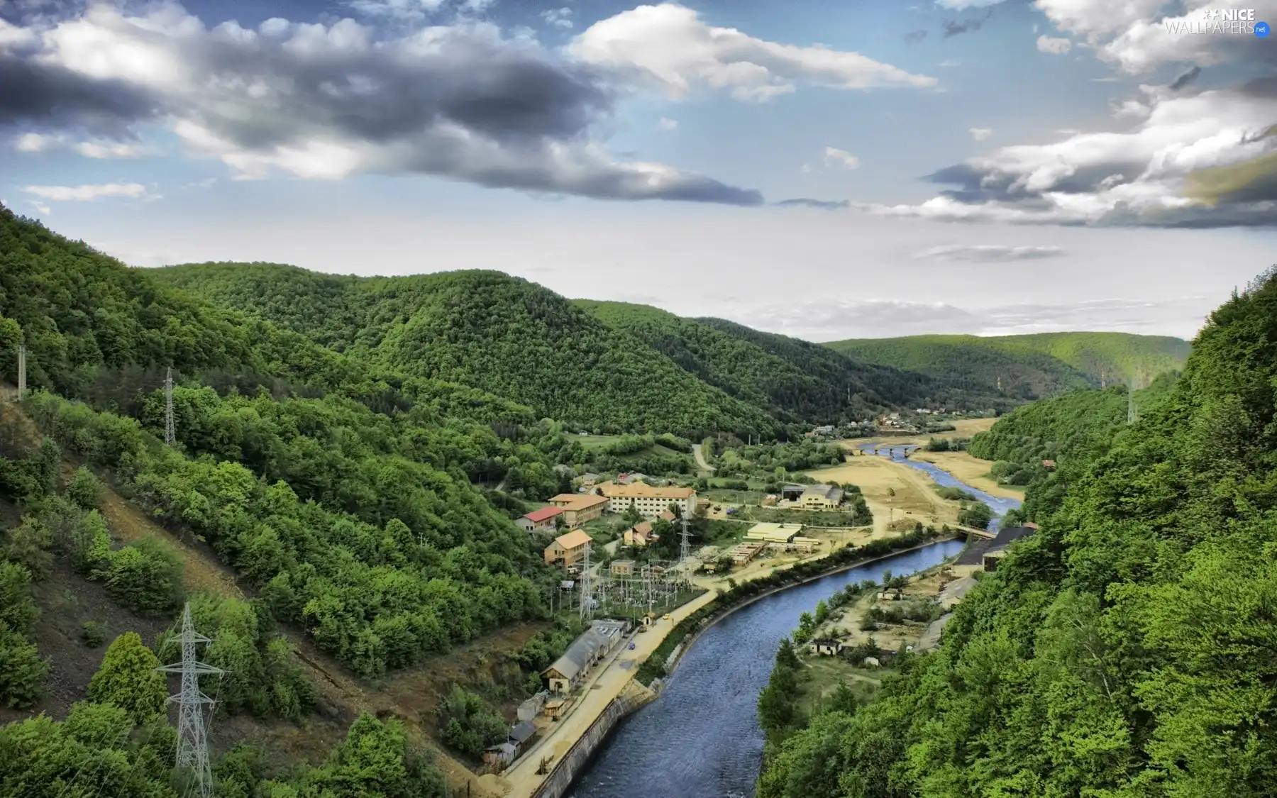 woods, River, Valley