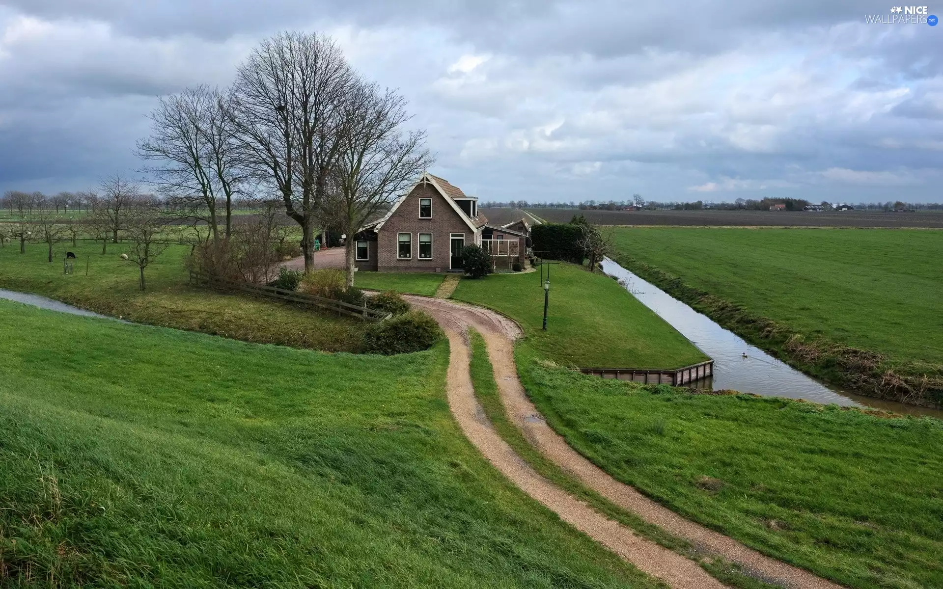 Workaround, medows, brook