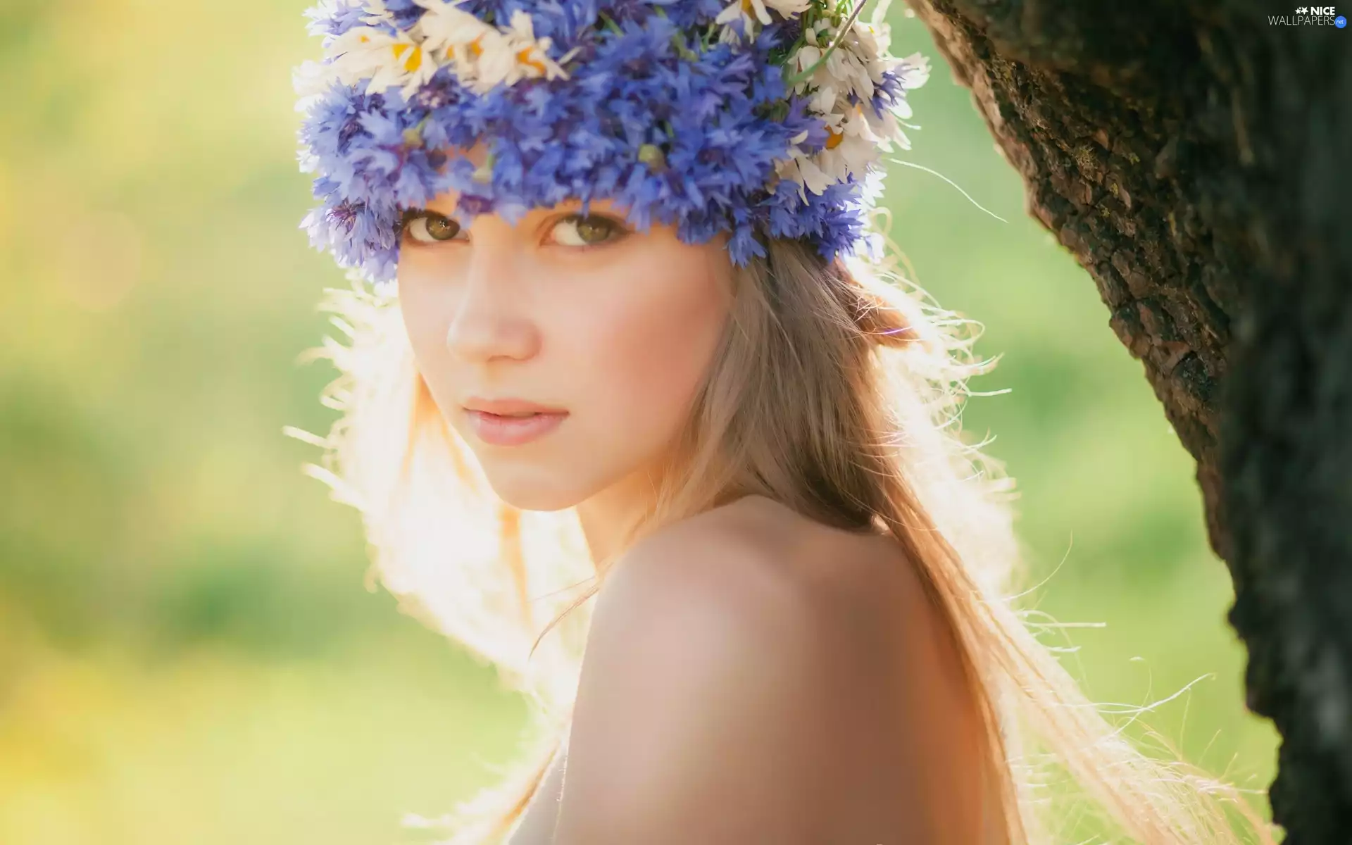 Blonde, floral, Meadow, wreath