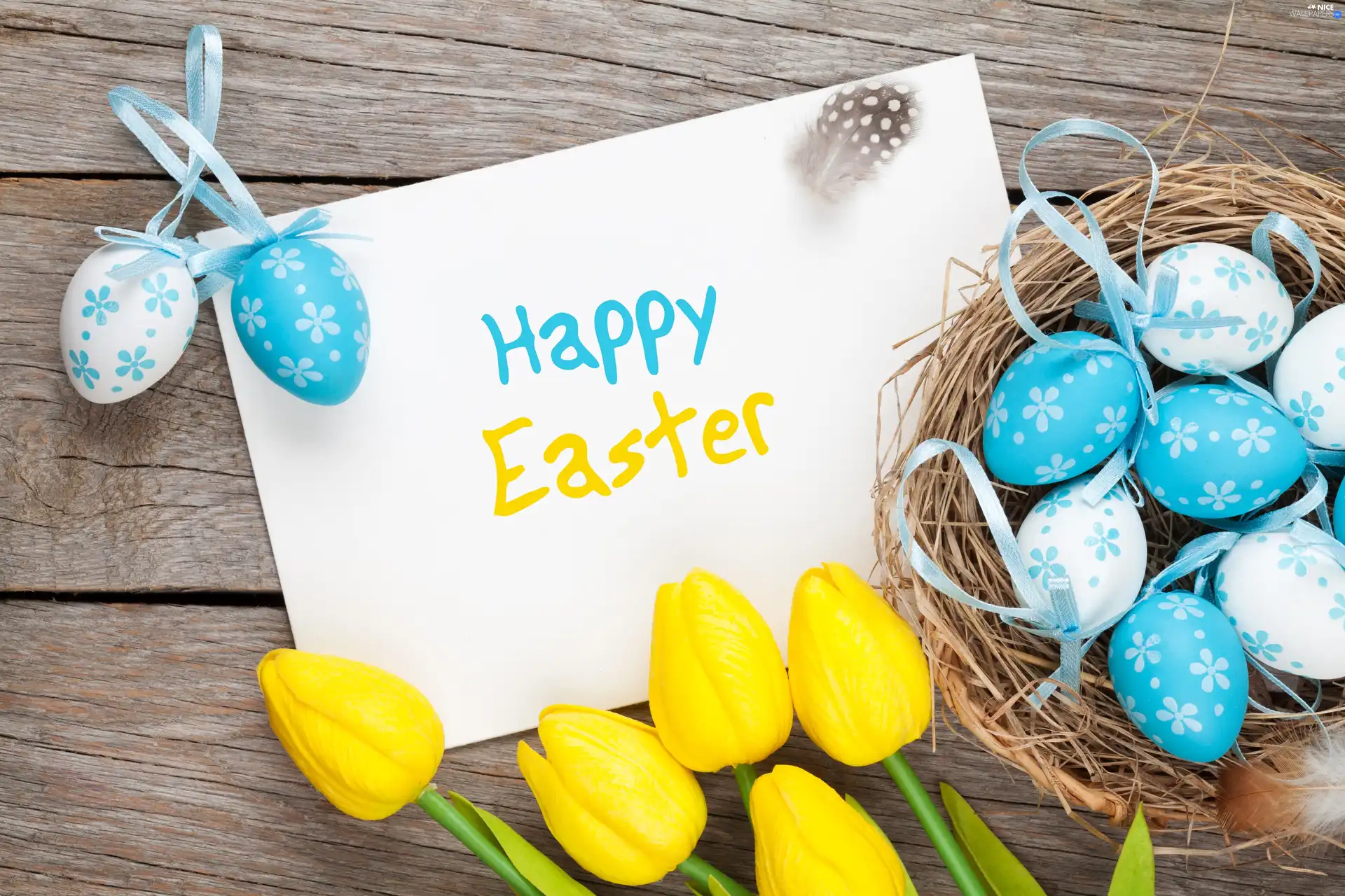 Yellow, Easter, Tulips, basket, boarding, pen, card, Wishes, eggs