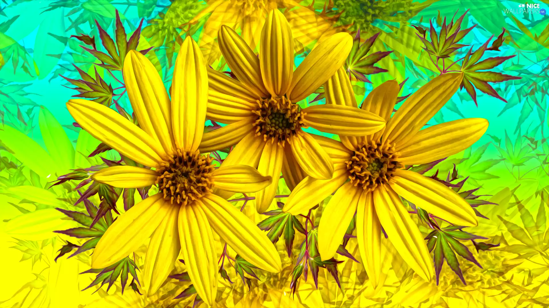 Yellow, graphics, Flowers