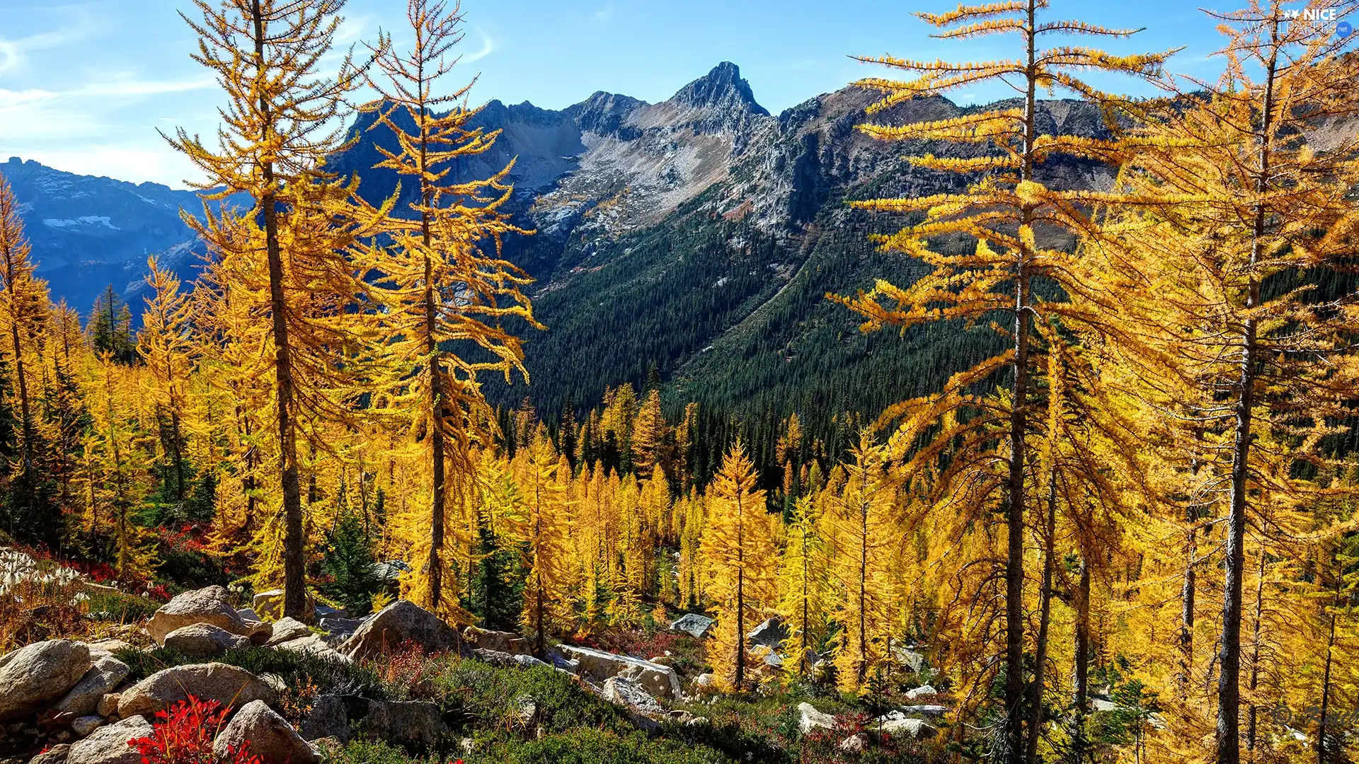 Stones, autumn, viewes, Yellow, trees, Mountains