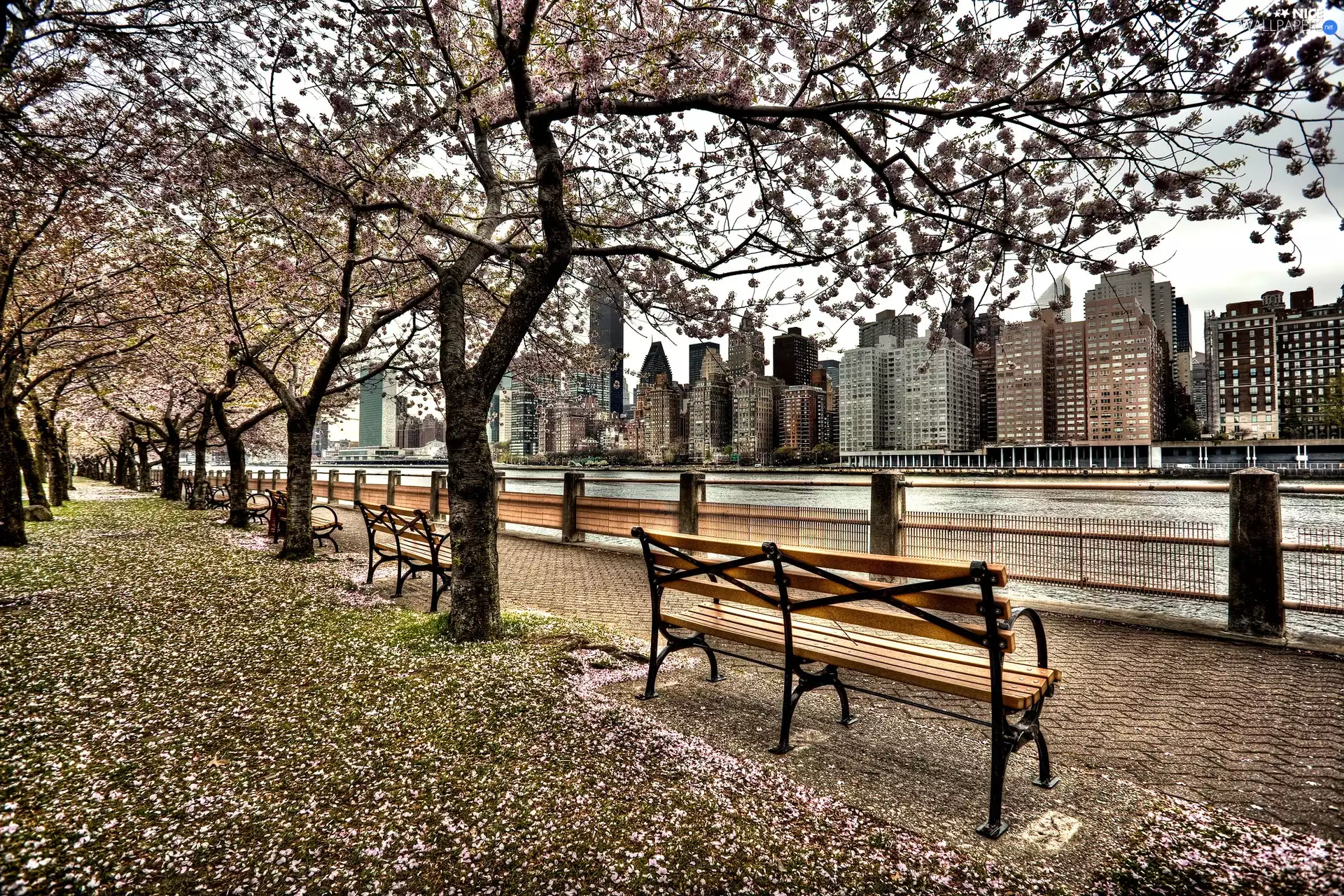 River, boulevard, New York, USA, skyscrapers, Bench