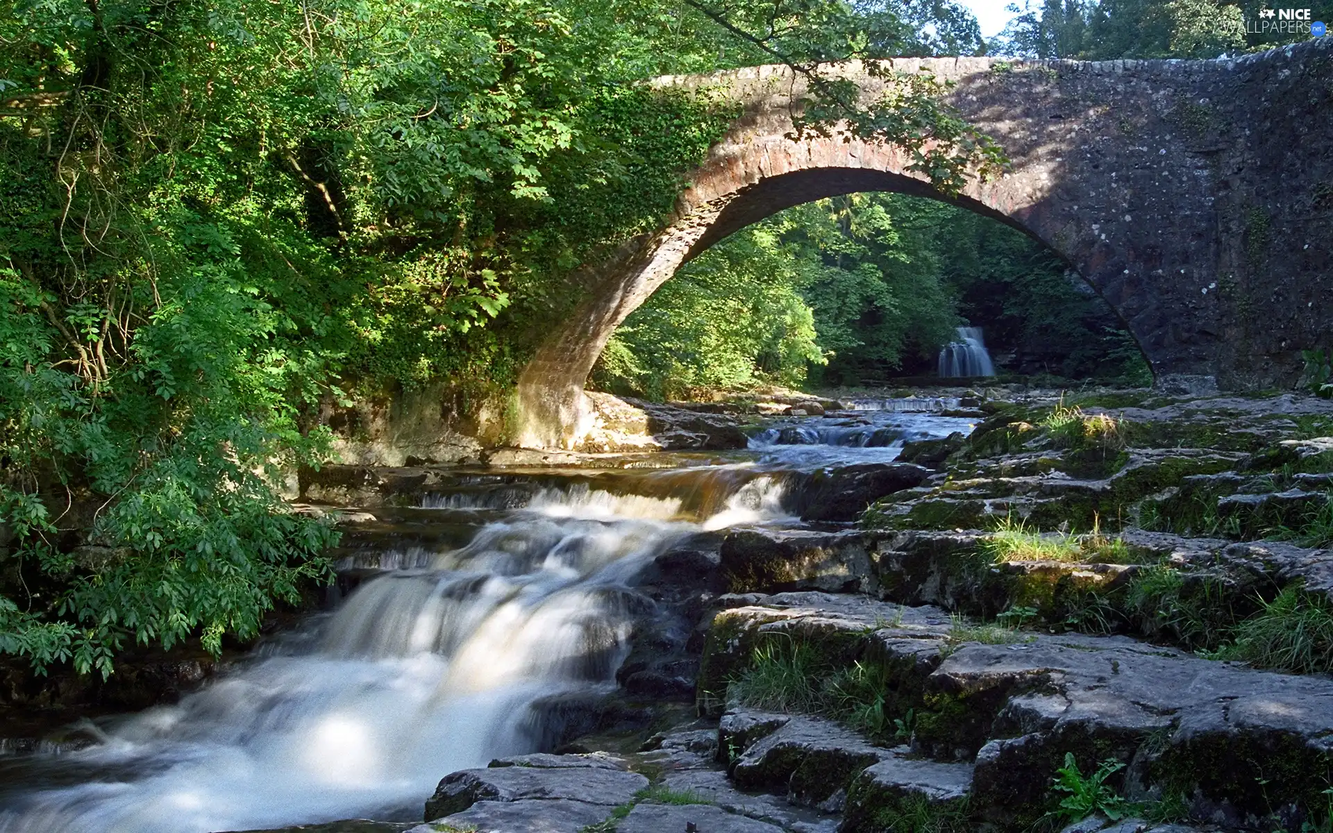 bridge, River, Yorkshire, England, green, Cascades