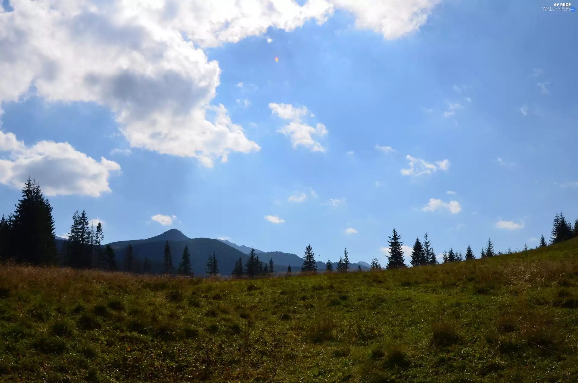 Sky, 2560 Meadow, Zakopane