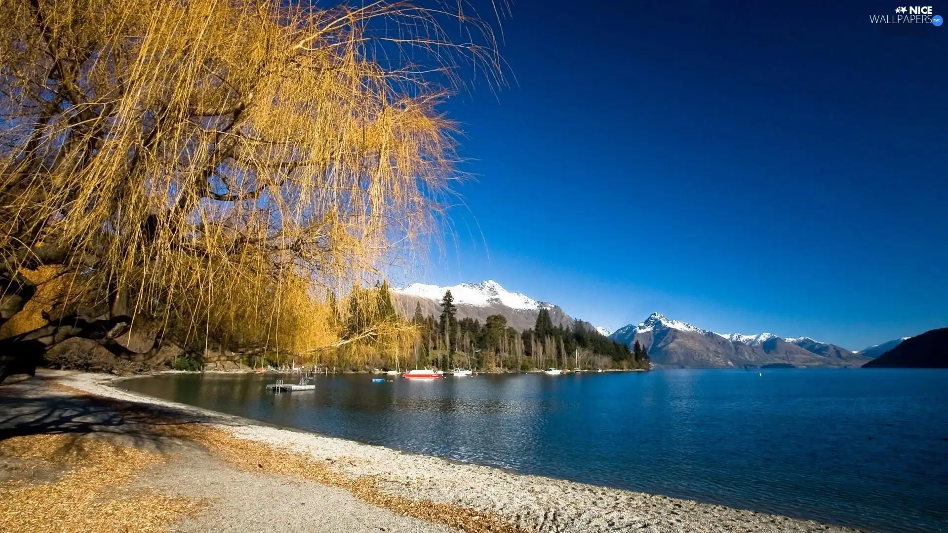 trees, Beaches, Wakatipu, Mountains, lake, viewes, New Zeland