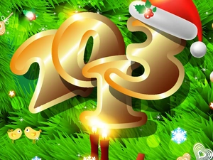 ornamentation, New Year, 2013