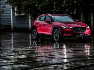 motor car, CX-4, Wine, Mazda