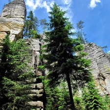 Adrspach, rocks, trees, viewes, Czech Republic, Rock City