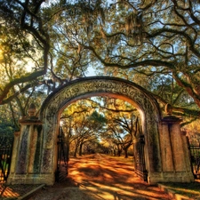 trees, Park, Gate, light breaking through sky, viewes, alley