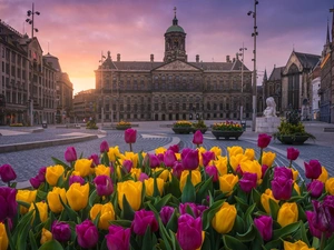 Tulips, Great Sunsets, Amsterdam, Royal Palace, Netherlands