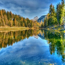 autumn, forest, Italy, trees, Province of Belluno, Dolomites Mountains, Antorno Lake, viewes