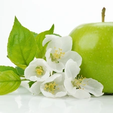 Flowers, green ones, Apple