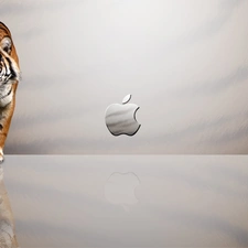 Apple, tiger, logo