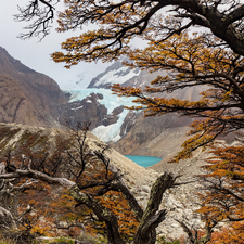 glacier, trees, Patagonia, viewes, Mountains, Perito Moreno, Argentina