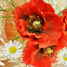 Red, daisies, Art, papavers