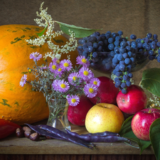 apples, composition, Flowers, Aster, Grapes, pumpkin