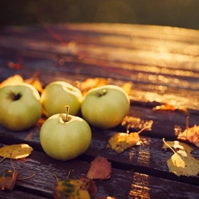 apples, Bench, autumn, Leaf