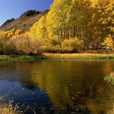 lake, viewes, autumn, trees