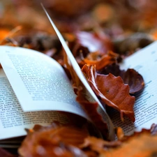 autumn, Book, Leaf
